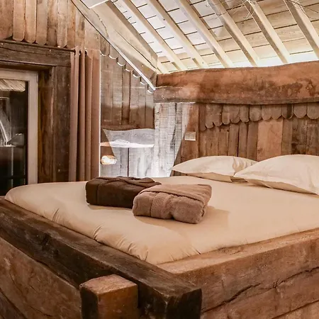 Spacious In The Woods *