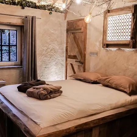 Spacious In The Woods